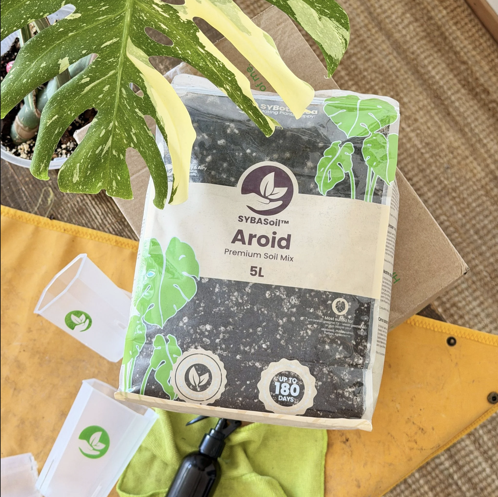 Airy Aroid Mix (5L) - Image 2