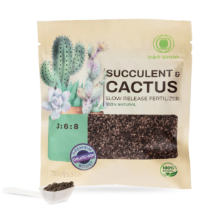 Desert Roots Succulent & Cactus Mix