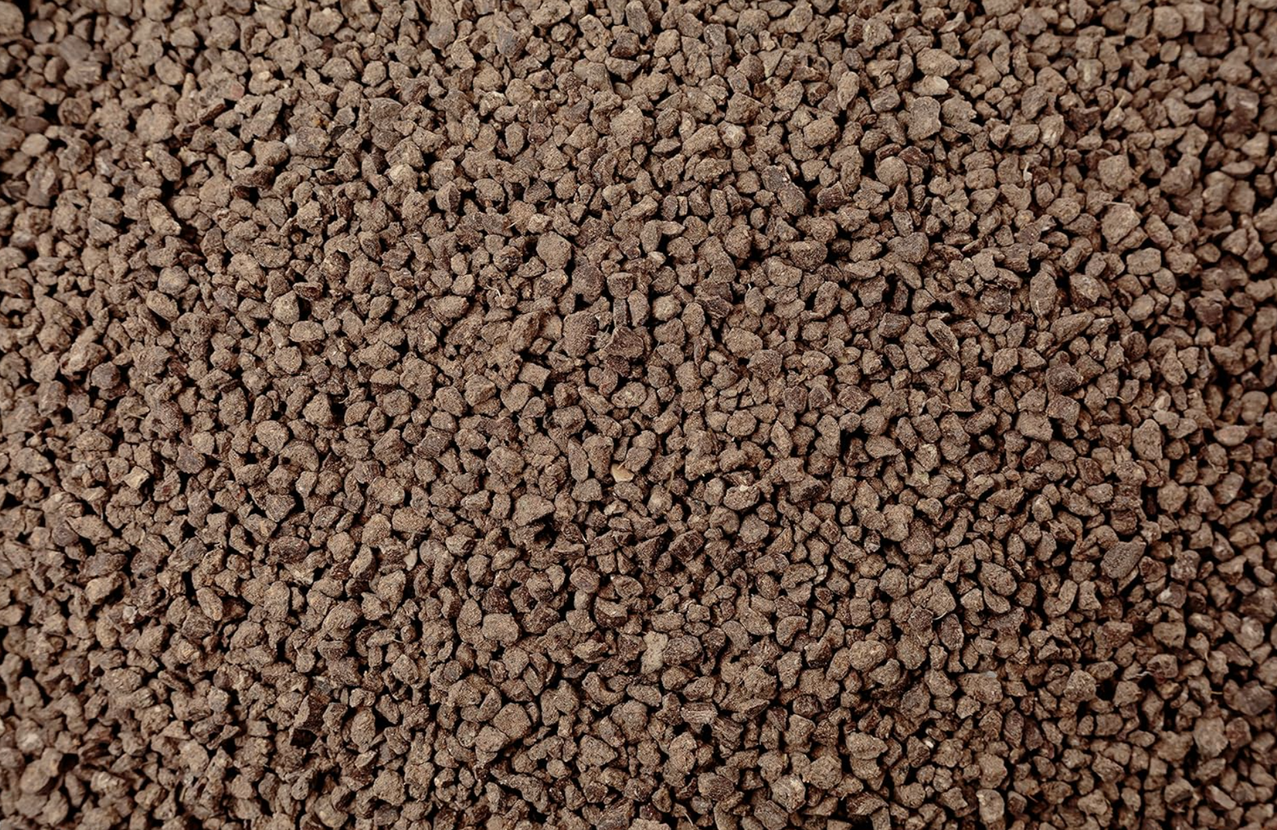Desert Roots Succulent & Cactus Mix - Image 4